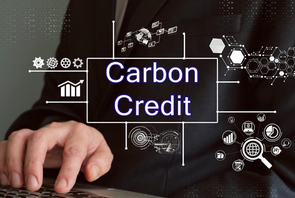Carbon Credits vs. Carbon Offsets